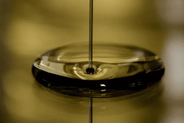 Canatur y Minsa preparan normativa para regular el uso de aceites