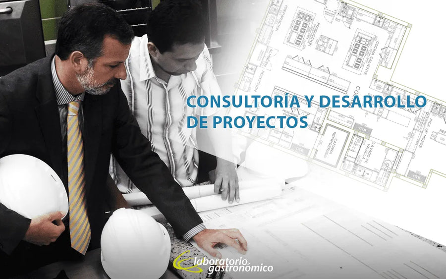 ¿Cómo aporta la consultoría en el desarrollo de proyectos gastronómicos?