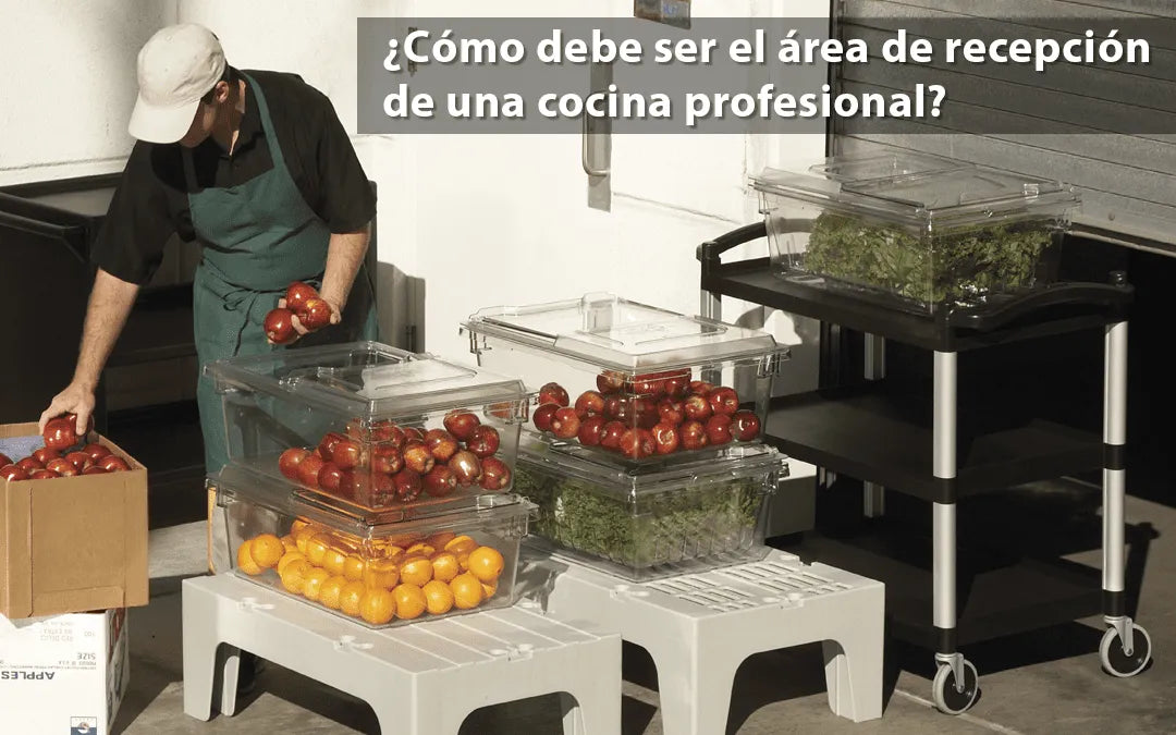 ¿Cómo debe ser el área de recepción de una cocina profesional?